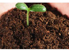 土壤檢測(cè)環(huán)境質(zhì)量因素測(cè)定介紹