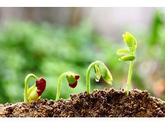 江門土壤檢測公司：土壤污染治理現(xiàn)狀、問題與對策研究